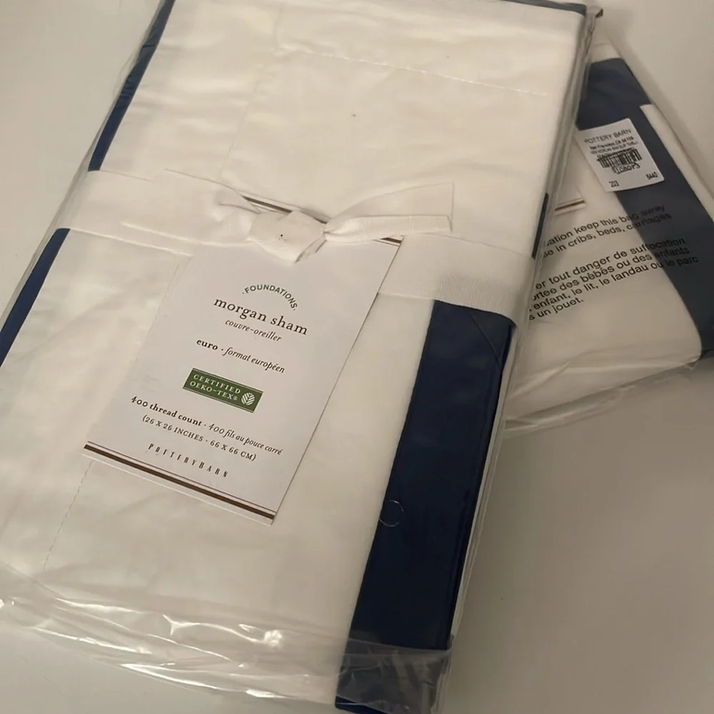 Pottery Barn Euro Shams (2)